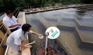 淮南124中学 淮南124中学