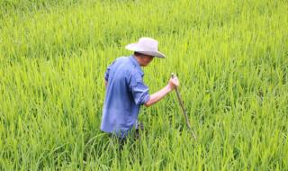 生物锁是什么意思