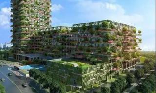 顺德碧桂园学校 顺德碧桂园学校