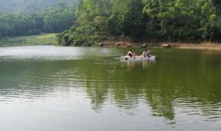 深圳九龙生态园