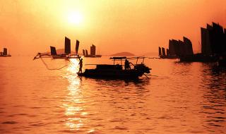 鼋头渚门票团购 鼋头渚门票团购