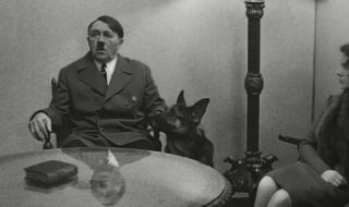 鹬蚌相争的道理 鹬蚌相争的道理