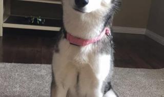 圣诞节还有几天 圣诞节还有几天