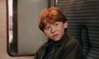 罗恩韦斯莱 罗恩韦斯莱