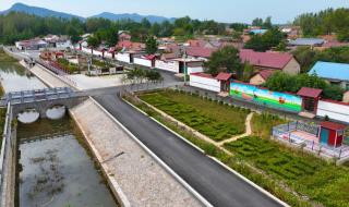 山东观察怎么了 山东观察怎么了