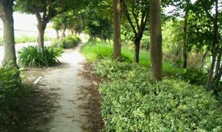 番禺滴水岩森林公园 番禺滴水岩森林公园