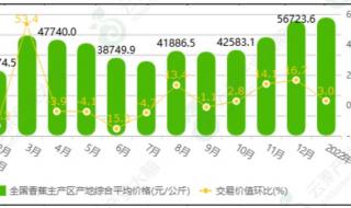 香蕉批发市场 香蕉批发市场