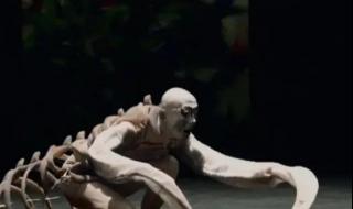 东京奥运会开幕表演